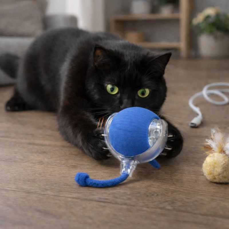 Balle rotative Felynia