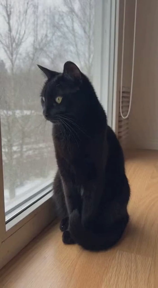 Balle rotative Felynia